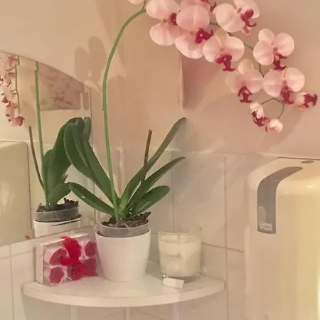 Apartament Adam 2 Haloszobas Lakosztaly Terasszal Segedyn